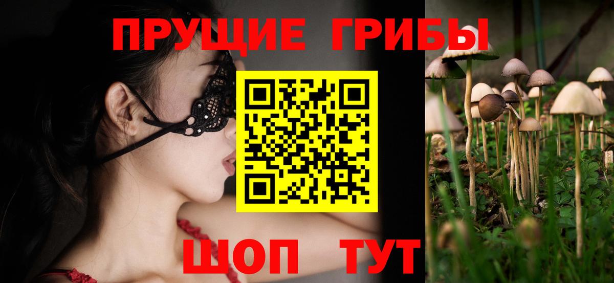хочу наркоту  Псилоцибиновые грибы MAGIC MUSHROOMS  Вход с VPN  Лангепас  Псилоцибиновые грибы Psilocybe 